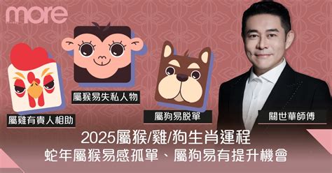 屬蛇適合的工作|2025年屬蛇的職業選擇有哪些？深入分析與建議